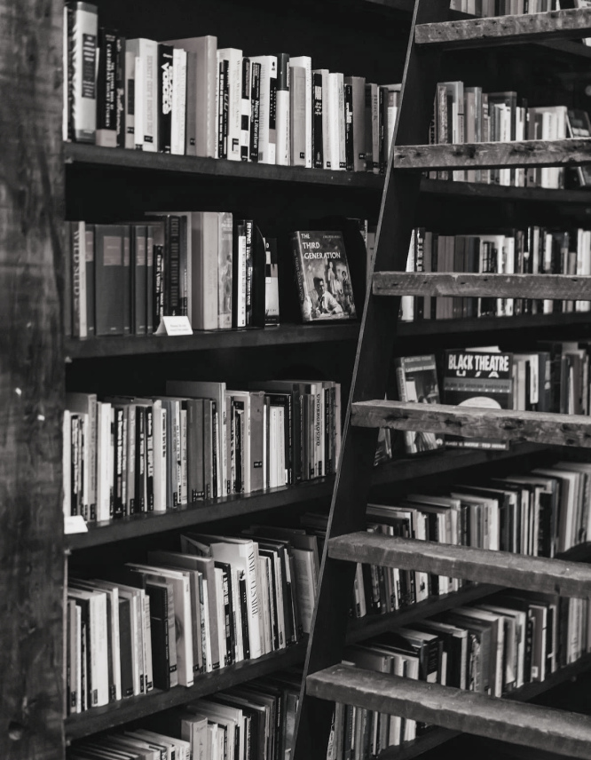 Immagine evocativa. Libreria con molti libri, che mostra la passione di Francesco Provenzano per la lettura e la formazione continua.